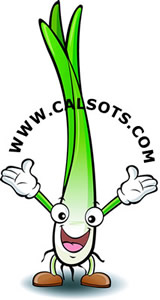 Logo de Calsots.com