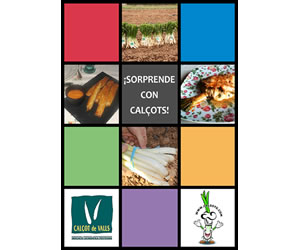 Libro electrnico de recetas con calots de Calsots.com (eBook)